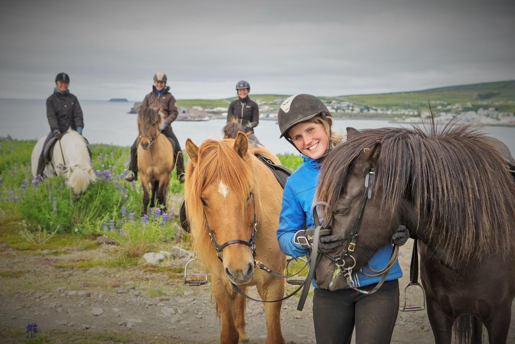 Saltvik Farm Guesthouse Húsavík Kültér fotó
